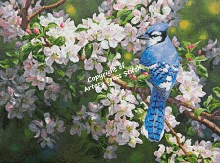 cross stitch pattern Blue Jay in Apple Blossoms