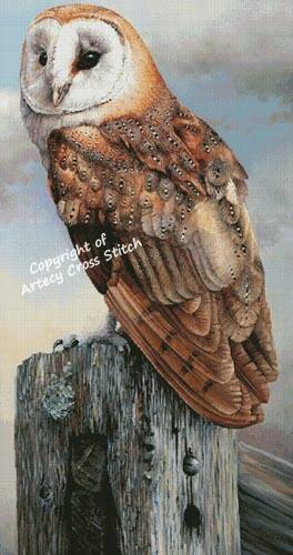 cross stitch pattern Barn Owl on a Post (Large)