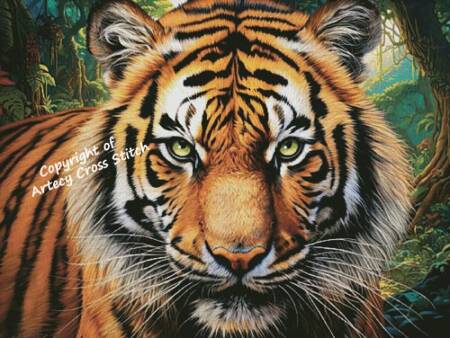 cross stitch pattern Tiger Close Up Portrait (Large)