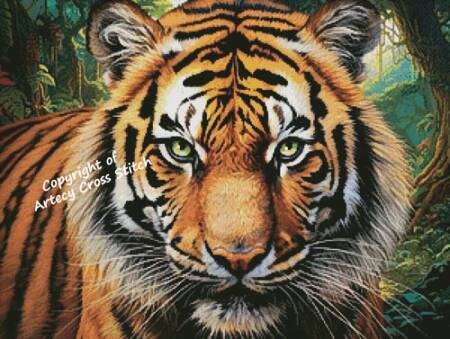 cross stitch pattern Tiger Close Up Portrait