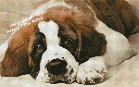 cross stitch pattern Mini St Bernard Photo