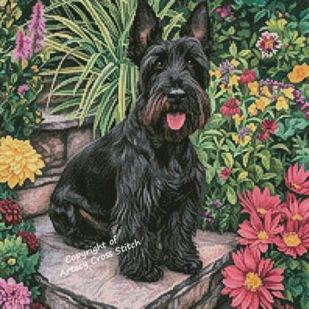 cross stitch pattern Mini Scottish Terrier in a Garden