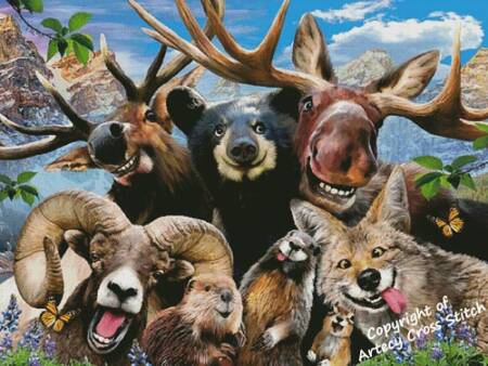 cross stitch pattern Rocky Mountain Selfie (Large)