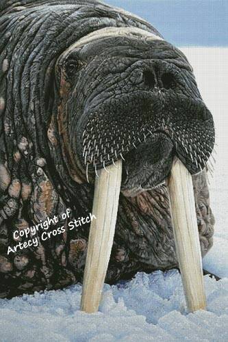 cross stitch pattern Wally (Large)