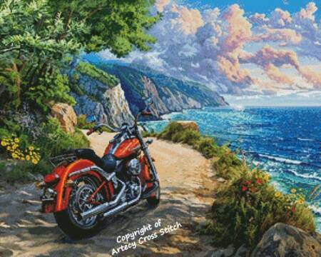 cross stitch pattern Arrived