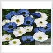 cross stitch pattern Blue and White Flowers