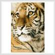 cross stitch pattern Bengal Tiger Cub