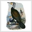cross stitch pattern Cormorant