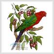 cross stitch pattern King Parrot