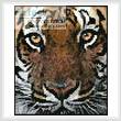 cross stitch pattern Mini Bengal Tiger Face
