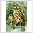 cross stitch pattern Ural Owl