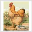 cross stitch pattern Rooster 3