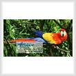 cross stitch pattern Scarlet Macaw 2