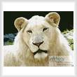 cross stitch pattern White Lion