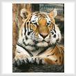 cross stitch pattern Bengal Tiger 4