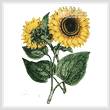 cross stitch pattern Sunflowers