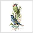 cross stitch pattern Finch and Blue Bird