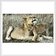 cross stitch pattern Lioness and Cub