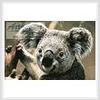 cross stitch pattern Mini Koala Portrait