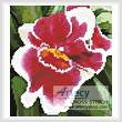 cross stitch pattern Mini Red and White Orchid