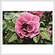 cross stitch pattern Pink Rose Photo