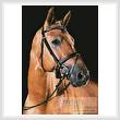 cross stitch pattern Portrait of a Brown Horse