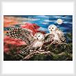 cross stitch pattern Pair of Owls