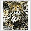 cross stitch pattern Baby Cheetah