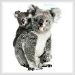 cross stitch pattern Koala and Joey