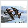 cross stitch pattern Geese on the Wing