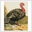 cross stitch pattern Turkey 2