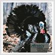 cross stitch pattern Turkey 3