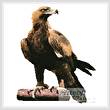 cross stitch pattern Wedge Tail Eagle