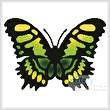 cross stitch pattern Butterfly Design 1
