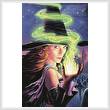 cross stitch pattern Hex of the Wicked Witch