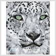 cross stitch pattern Snow Leopard Portrait