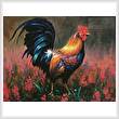 cross stitch pattern Colourful Rooster