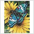 cross stitch pattern Gaudy Baron Butterfly