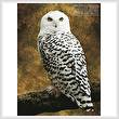 cross stitch pattern Snowy Owl