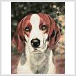 cross stitch pattern Beagle Dog Portrait