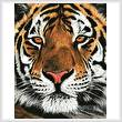 cross stitch pattern Bengal Tiger Portrait