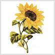 cross stitch pattern Golden Sunflower