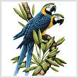 cross stitch pattern Majestic Macaws