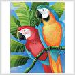 cross stitch pattern Parrots