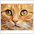 cross stitch pattern Ginger Cat Close Up