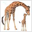 cross stitch pattern Giraffe and Calf