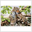 cross stitch pattern Leopard and Cub