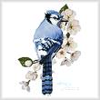 cross stitch pattern Little Blue Jay