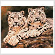cross stitch pattern Pair of Young Snow Leopards