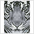 cross stitch pattern Bengal Tiger (Black and White)